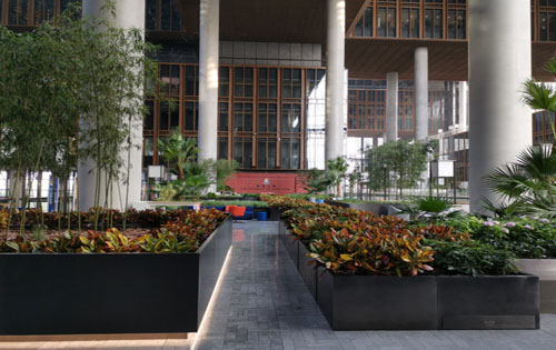 亚洲金融大厦实景图1