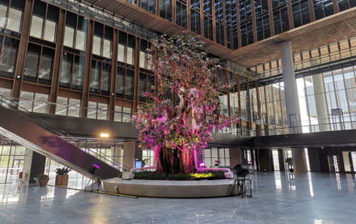 亚洲金融大厦实景图3